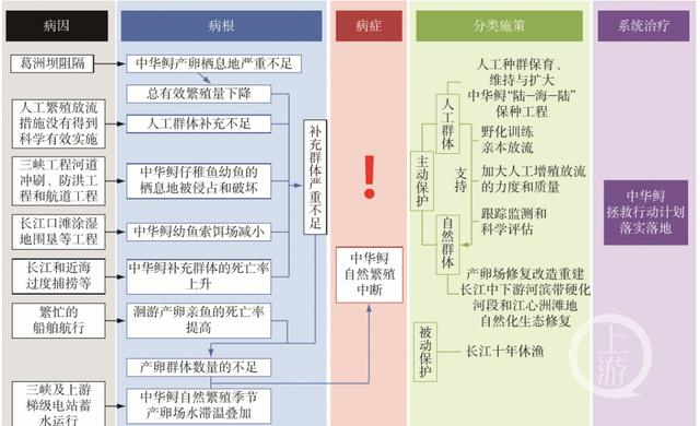 ▲中华鲟保护问题的系统分析与应对解决框架示意图。图片来源/受访者供图