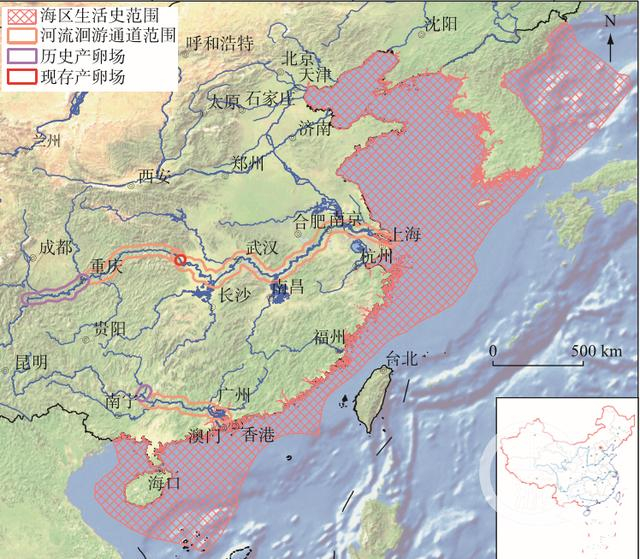 ▲中华鲟生活史空间范围及产卵场的分布。图片来源/受访者供图