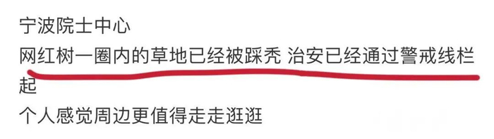 旅友前往院士中心旁的网红树打卡“奔现”截图