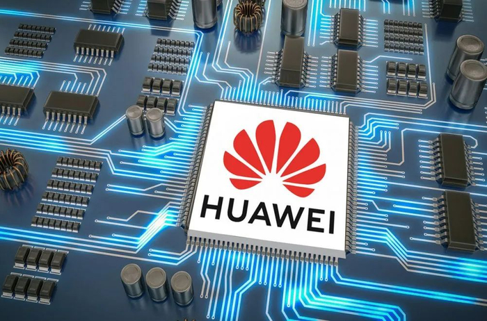 作 者丨倪雨晴