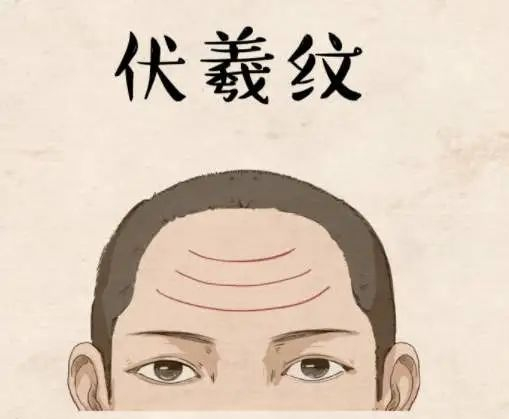 额头的纹路预示着你一生的命运！|面相|运势|抬头纹|性格|华盖_新浪新闻