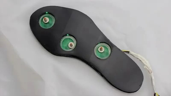 TickleFoot  图片来源：Don Samitha Elvitigala