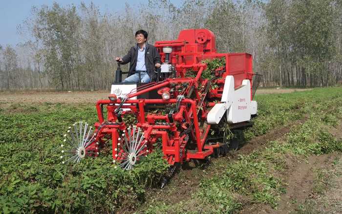 农业农村部主要农作物生产全程机械化推进行动战略咨询专家胡志超。受访者供图