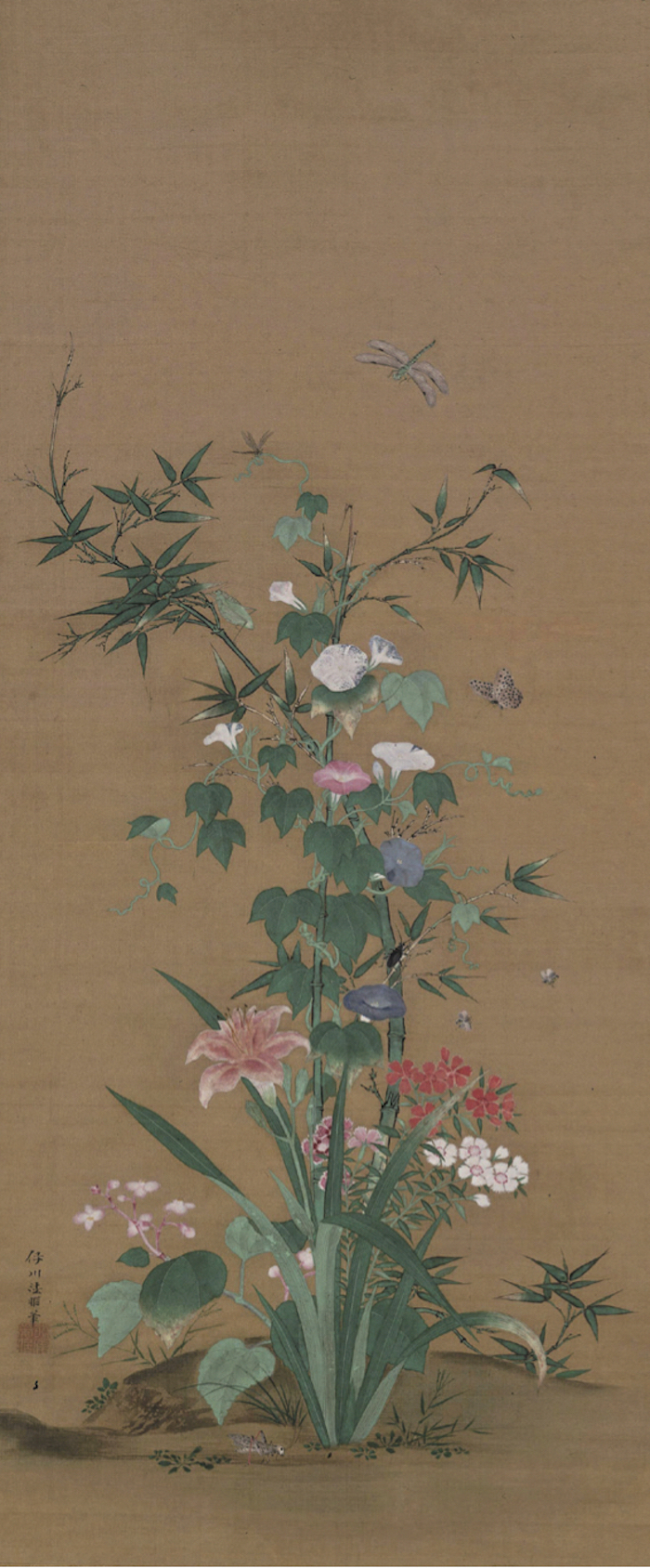 江户时代 狩野荣信《草花群虫图》