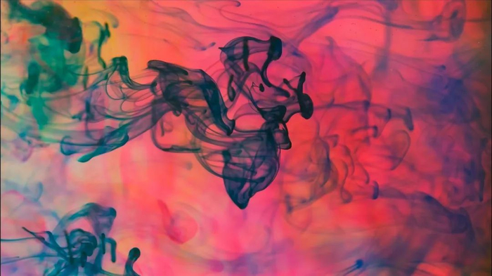 陈赞蔚老师团队水下摄影作品