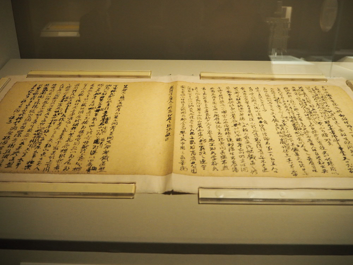 展览现场 康有为《大同书》手稿