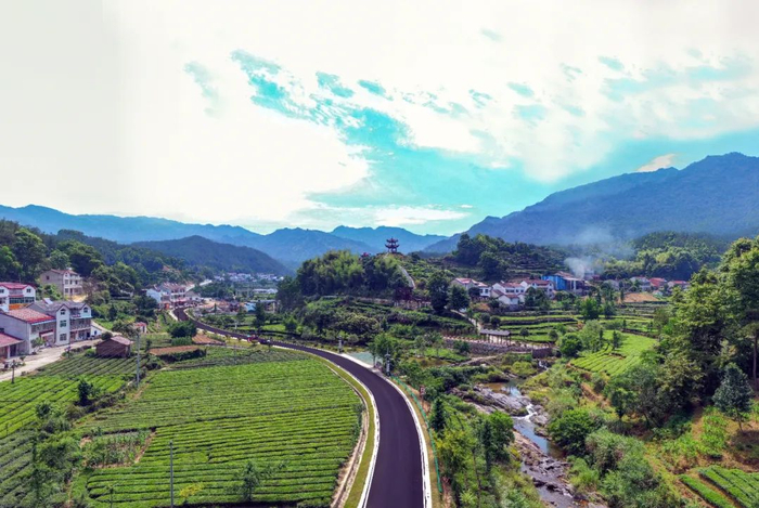 英山县茶叶谷旅游公路在生态茶园间穿行。汪咏梅 摄
