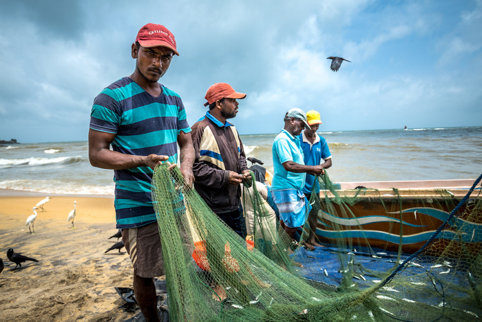 斯里兰卡，尼甘布渔市的渔民们。