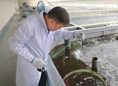 　　科研人员进行育种研究。　资料图