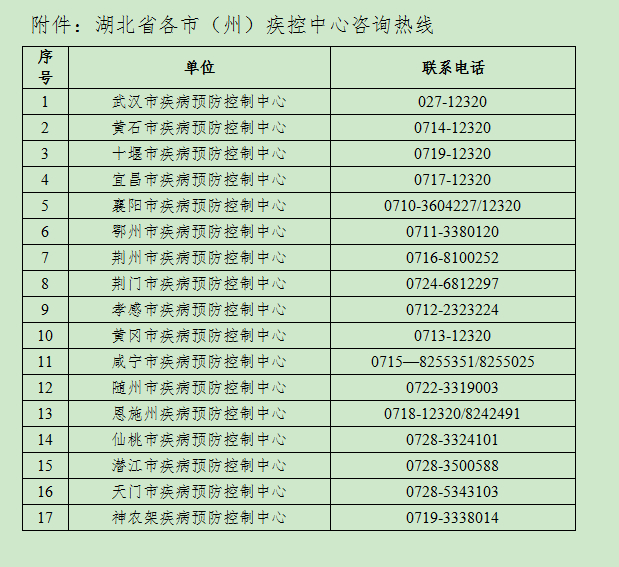 解读项目的未来：可行性研究报告的重要性