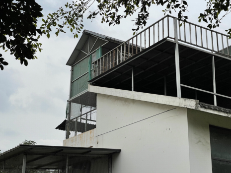 （龙腾阁小区内搭建鸽棚的别墅）