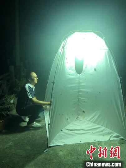 李泽建在野外采集昆虫 李泽建供图