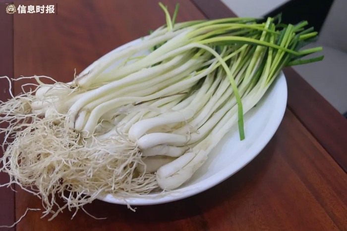 荞菜。信息时报记者 徐敏 摄