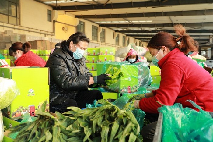 一箱箱蔬菜汇集到交易市场。（图片来源：兰陵县新闻科）