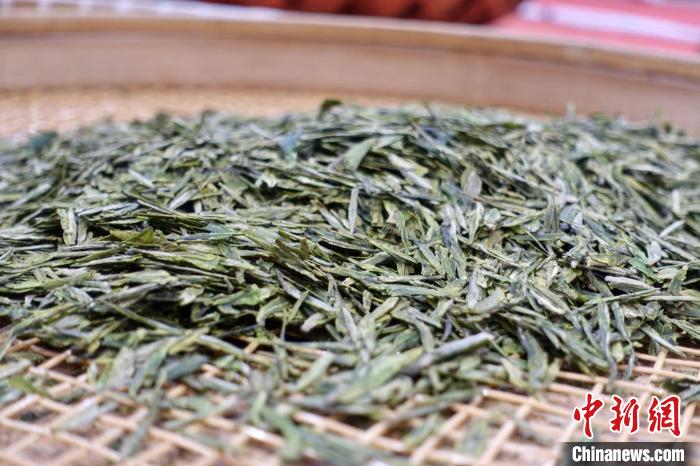 经手工炒制的西湖龙井干叶。　钱晨菲 摄