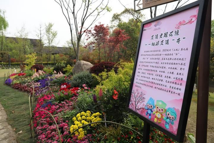 杭州皋亭山万株桃花再次迎春绽放,观桃节值得来逛一逛