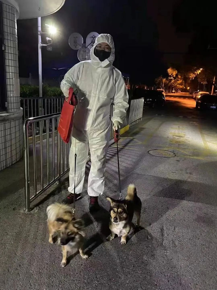 hunter所在机构的工作人员穿着防护服把狗从小区接出 | 图片由hunter提供