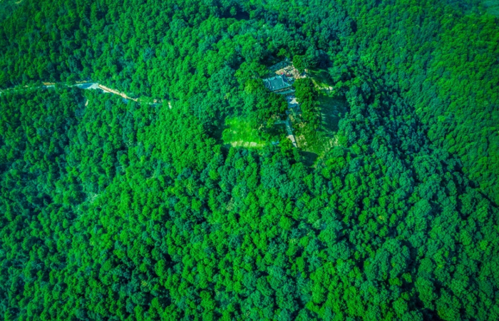 ▲空气清新的中梁山