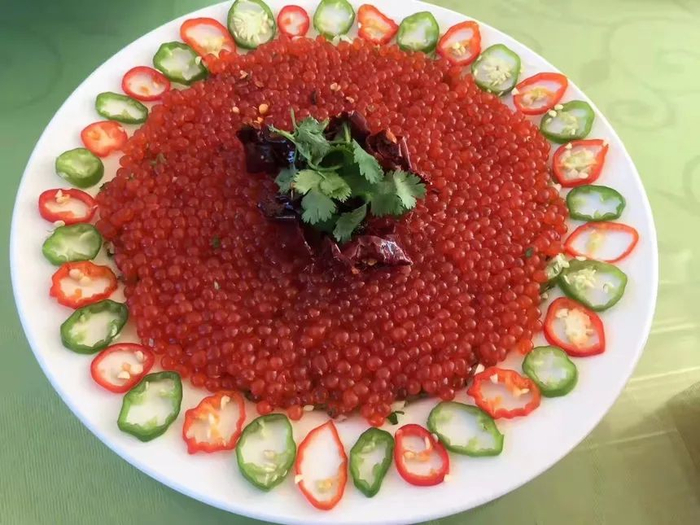 大马哈仔 摄|吴璇