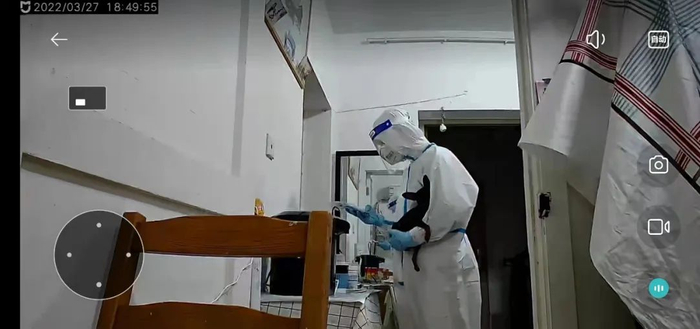 张琦穿着防护服进入亲戚家中，在消杀期间将狗带出房间 | 监控画面由本人提供