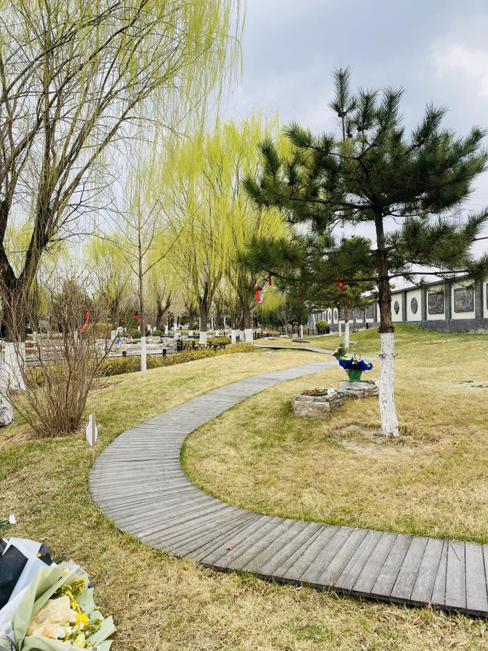 长青园。贝壳财经记者 林子 摄