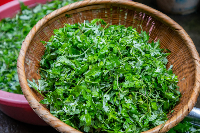 淘洗干净的鼠麴草，准备用来制作清明果 图 东方ic