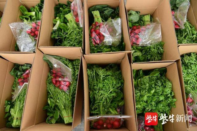 太仓蔬菜