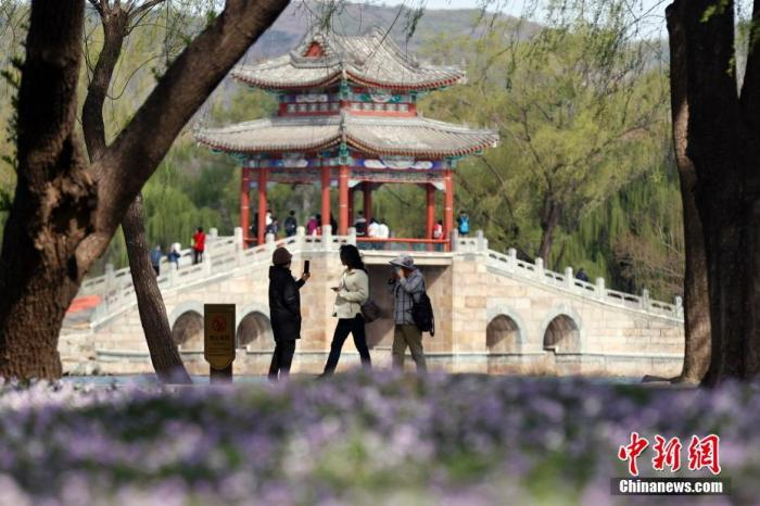 资料图：市民在北京颐和园游览，踏青赏花。 中新社记者 盛佳鹏 摄