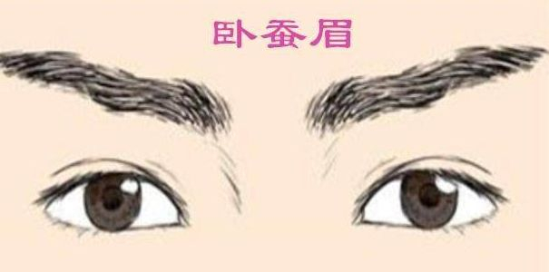 从眉毛形状看性格特征