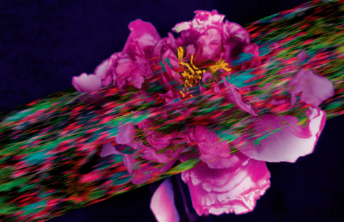 　　宋婷作品：牡丹亭 Rêve 之标目蝶恋花——信息科技穿透了“我”