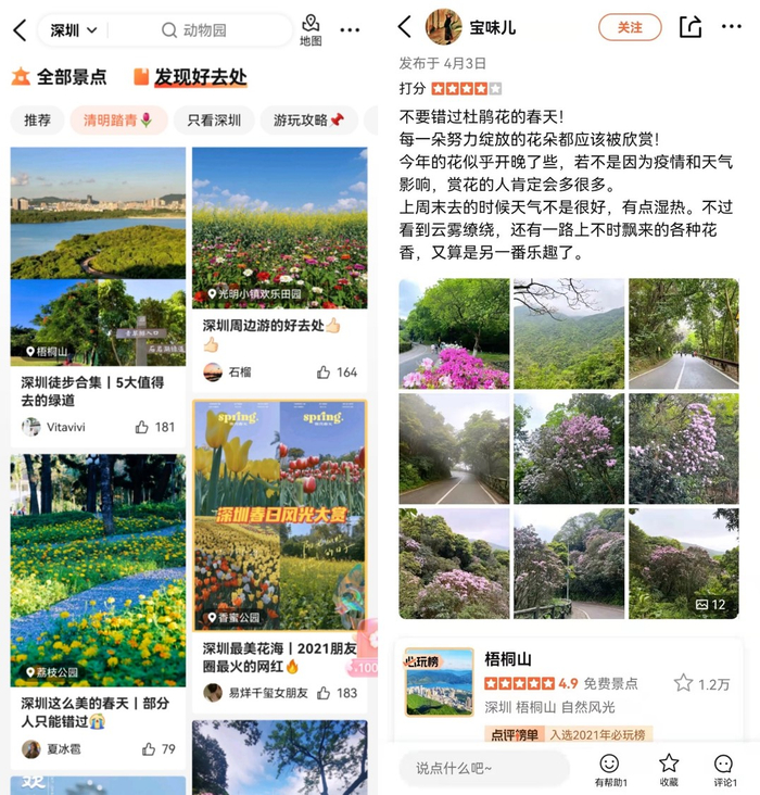 ▲大众点评网友分享深圳踏青好去处