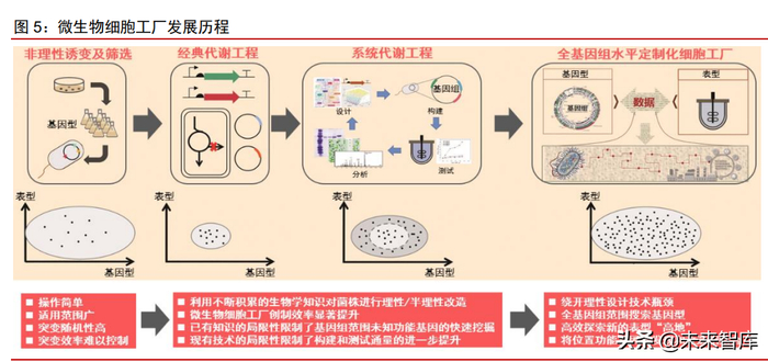 化学品定制合成