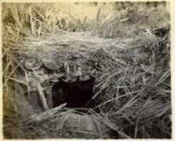 刘光典烈士当时居住的深山山洞