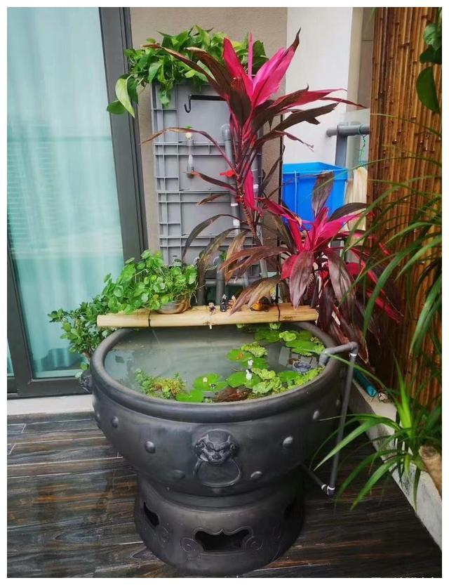 古法养鱼保持水质的技巧有哪些？