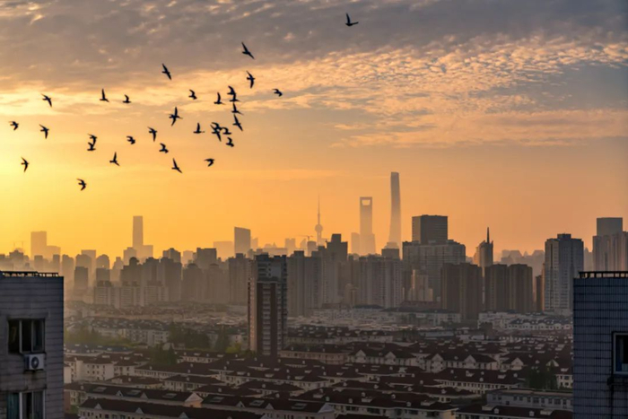 2022年4月10日，上海的清晨。视觉中国供图