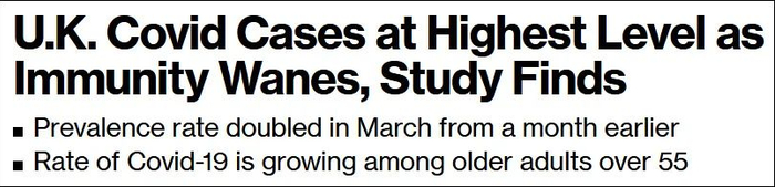 彭博社报道截图