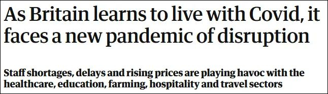 《卫报》报道截图