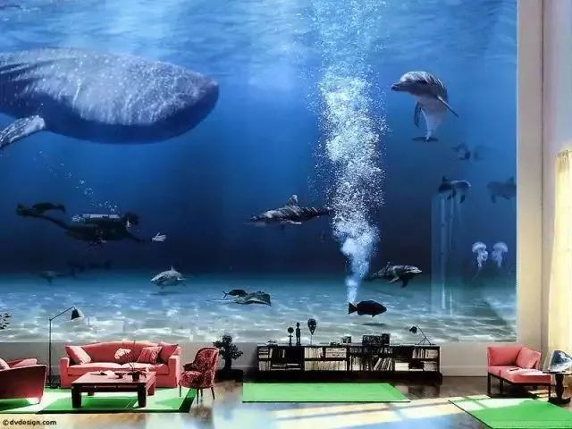 ▲比尔·盖茨家中水族馆 图源：网络