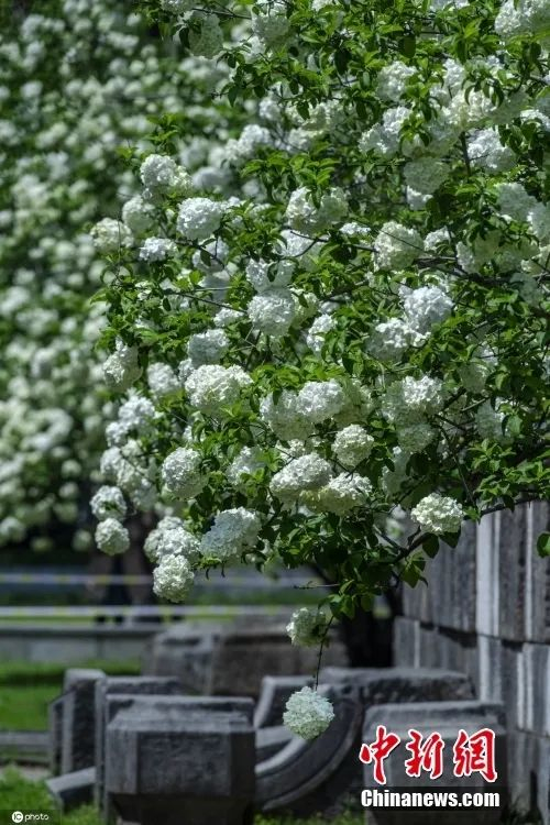 图片来源：ICphoto