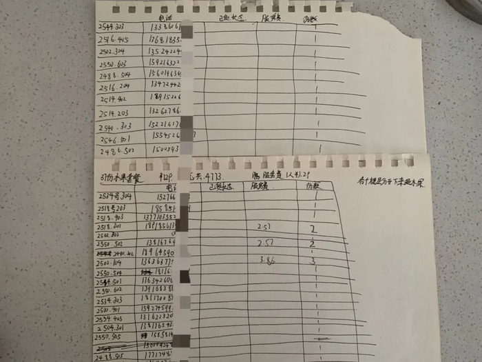 ▲弗里达为37份水果套餐手画的表格。受访者供图