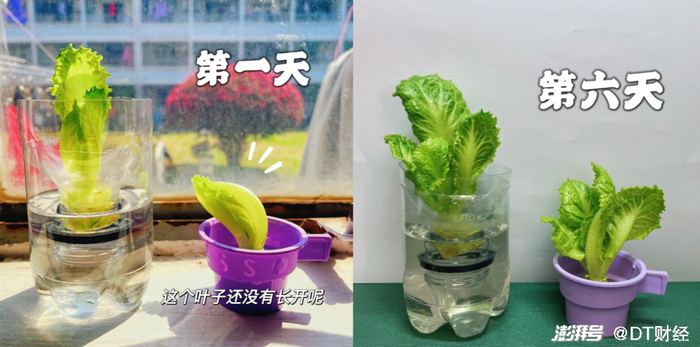 &nbsp; &nbsp; &nbsp; &nbsp; &nbsp; &nbsp; &nbsp; &nbsp; &nbsp; &nbsp;（图源：小红书@天赋异禀的黑月光（减脂版））