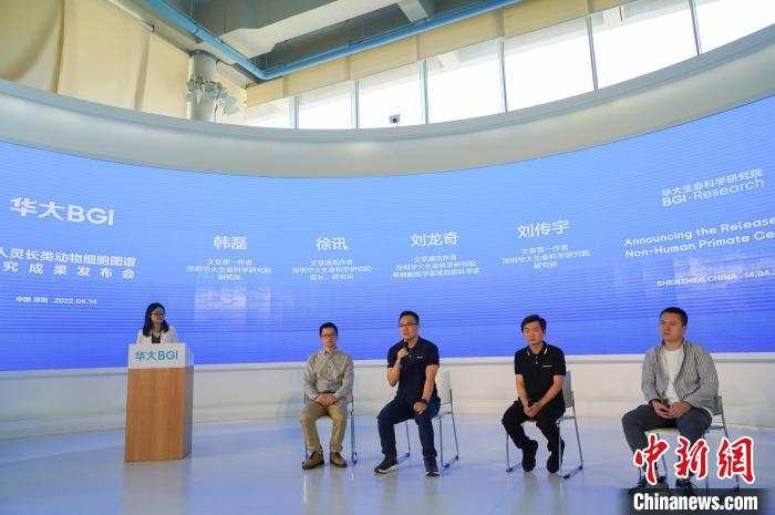 深圳华大生命科学研究院研究团队成员回答记者提问。　深圳华大生命科学研究院  供图