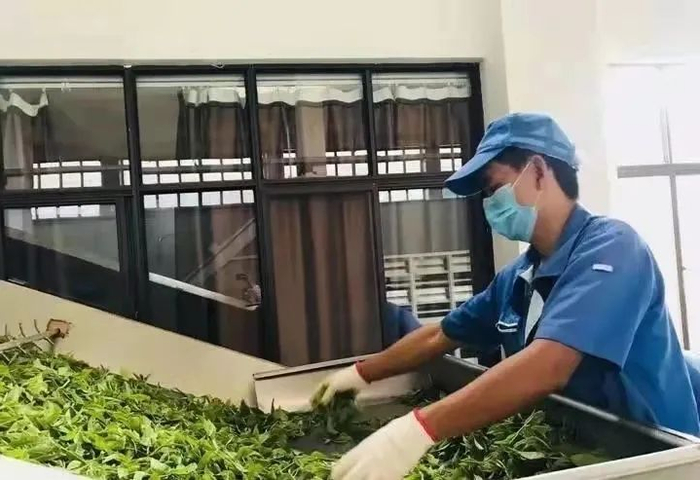 普洱市委宣传部供图