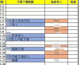 凌子、陈婷和陈婷的老公制作的统计老人信息的表格，部分截图。