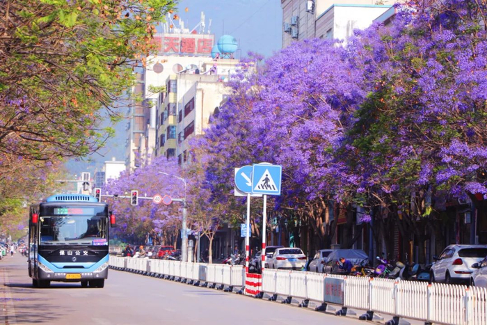 保山市委宣传部 供图