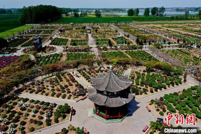 航拍南山牡丹园。　 张建设 　摄