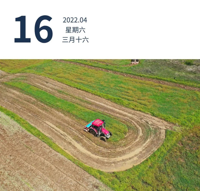 清远市东城街道黎塘村，拖拉机正在田间翻土。徐慧敏 摄