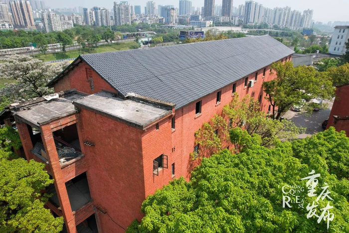 603仓库周围植被茂密