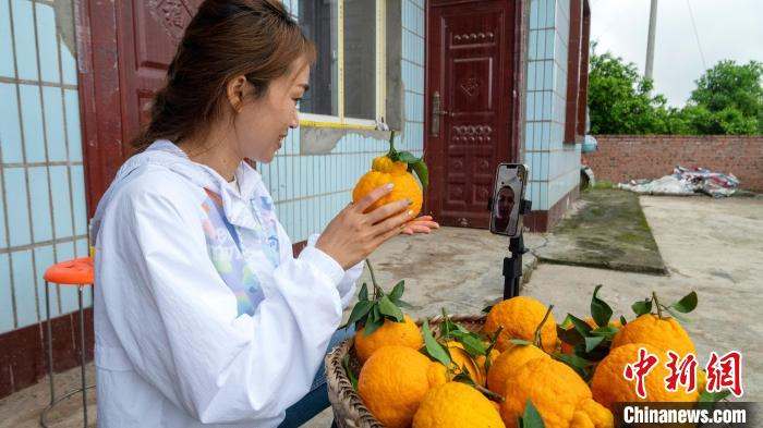 小雅给远在国外的丈夫打视频电话。　刘忠俊 摄