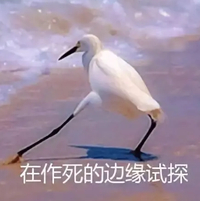 （文中图片素材来源自网络，仅供学习交流使用）